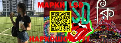 apvp Гатчина