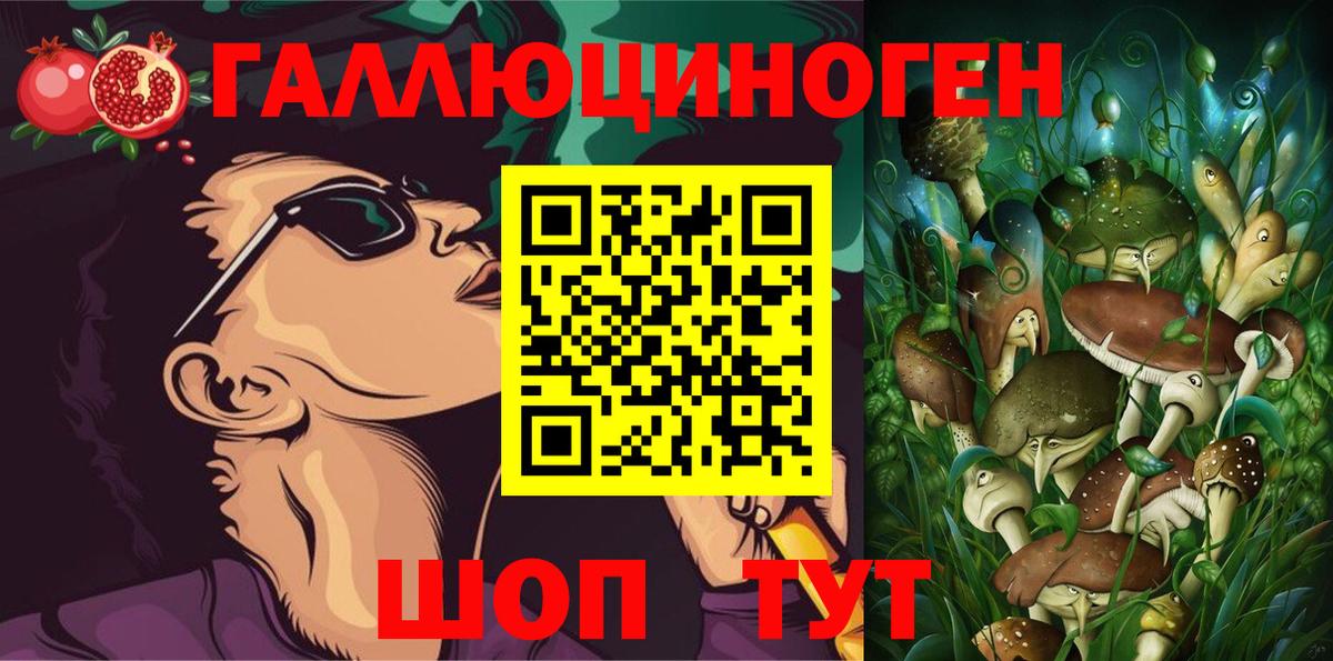 Рассказово  Псилоцибиновые грибы Psilocybe  Вход с VPN 